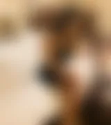 🛡️SAFE ROOM & MOHINI 🌐INDIPENDENT STAFF CALL 🧕GIRL SERVICE TRUSTED-aid:0719F0D